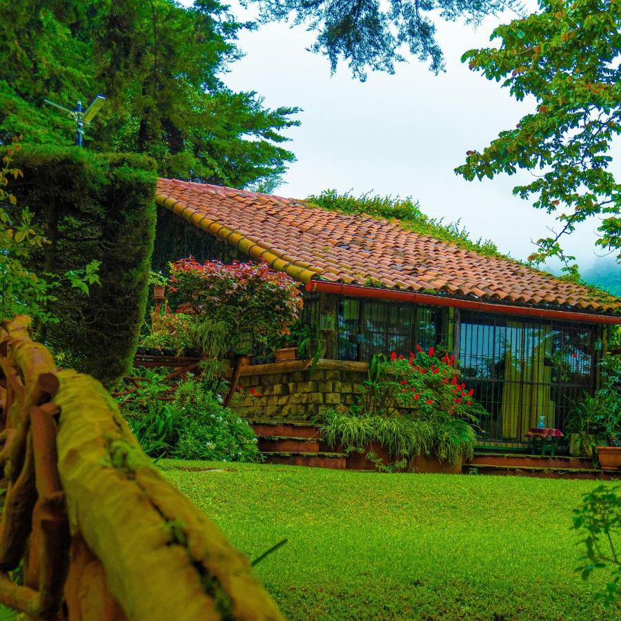 Los Naranjos Town Houses Zewnętrze zdjęcie