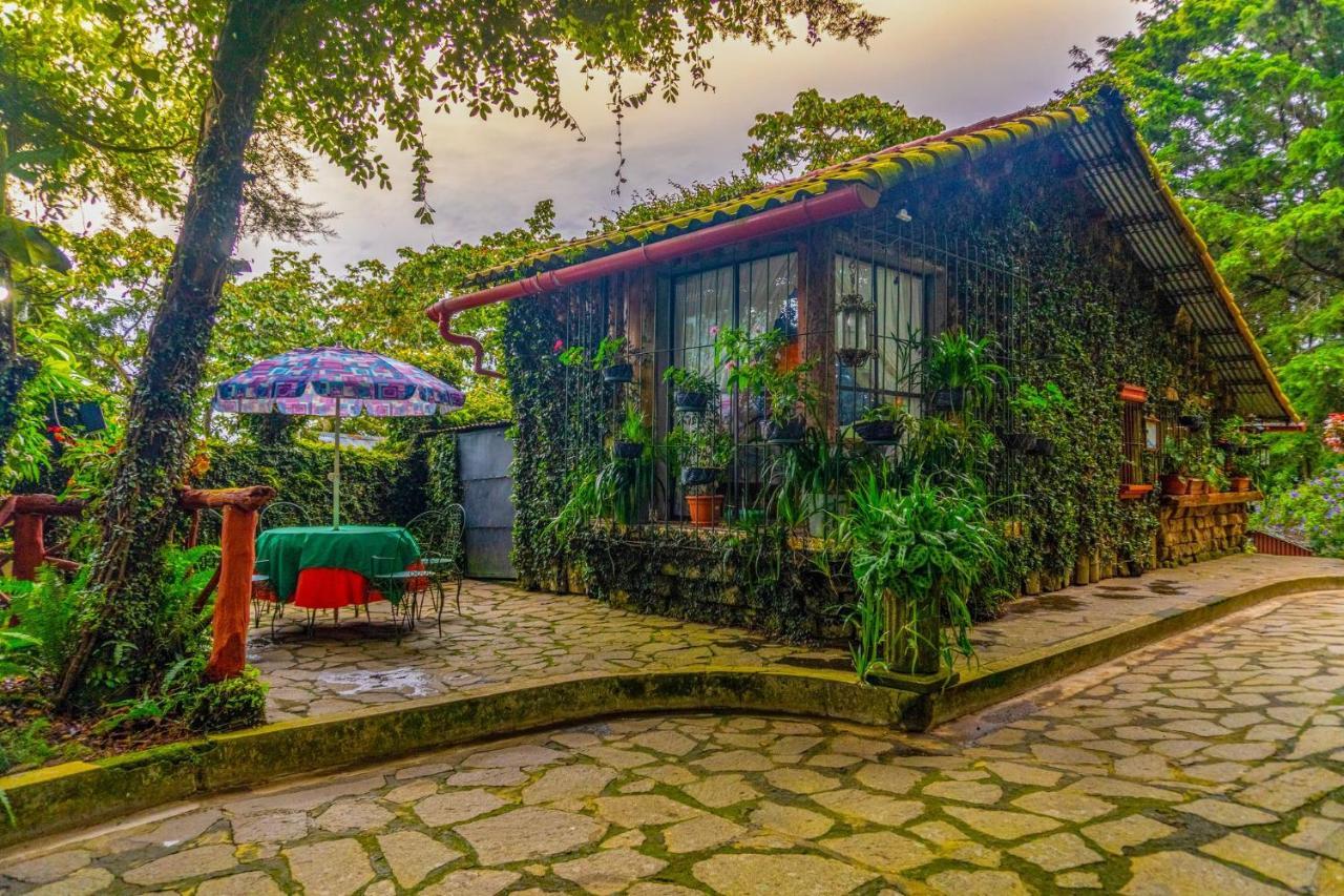 Los Naranjos Town Houses Zewnętrze zdjęcie